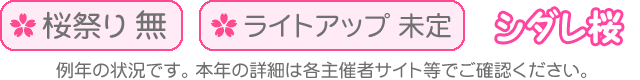 桜祭り無・ライトアップ未定・シダレ桜