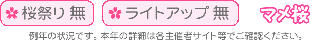 桜祭り無・ライトアップ無・マメ桜