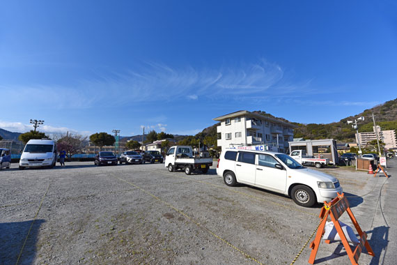 河津桜駐車場